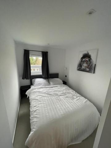 Villa Terrasse De Malmedy, Triplex 243 Extérieur photo